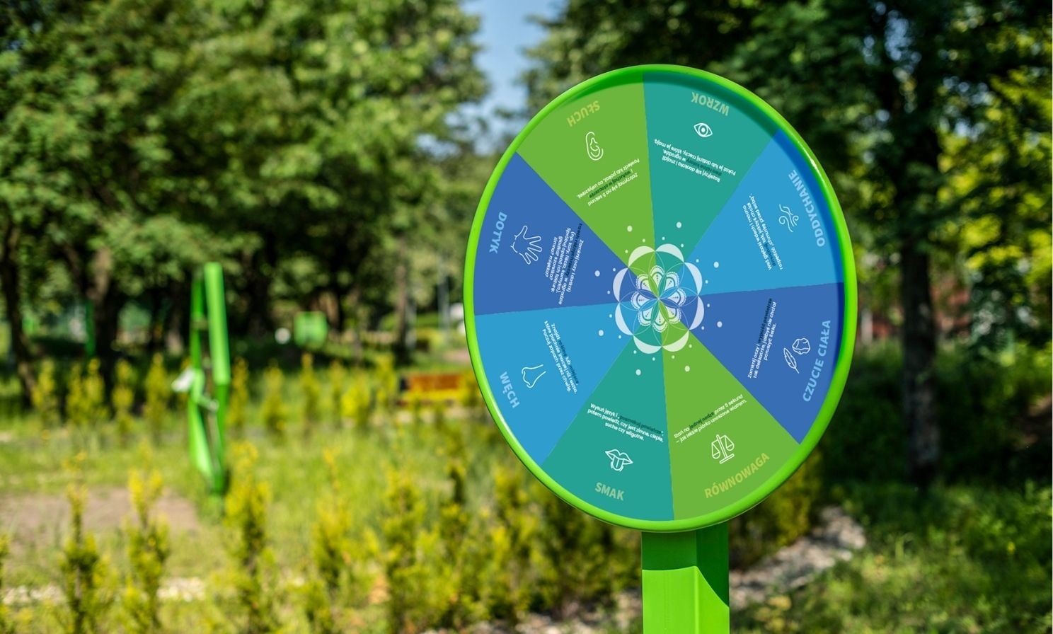 Koło edukacyjne - Zmysły z platformą edukacyjną QR+