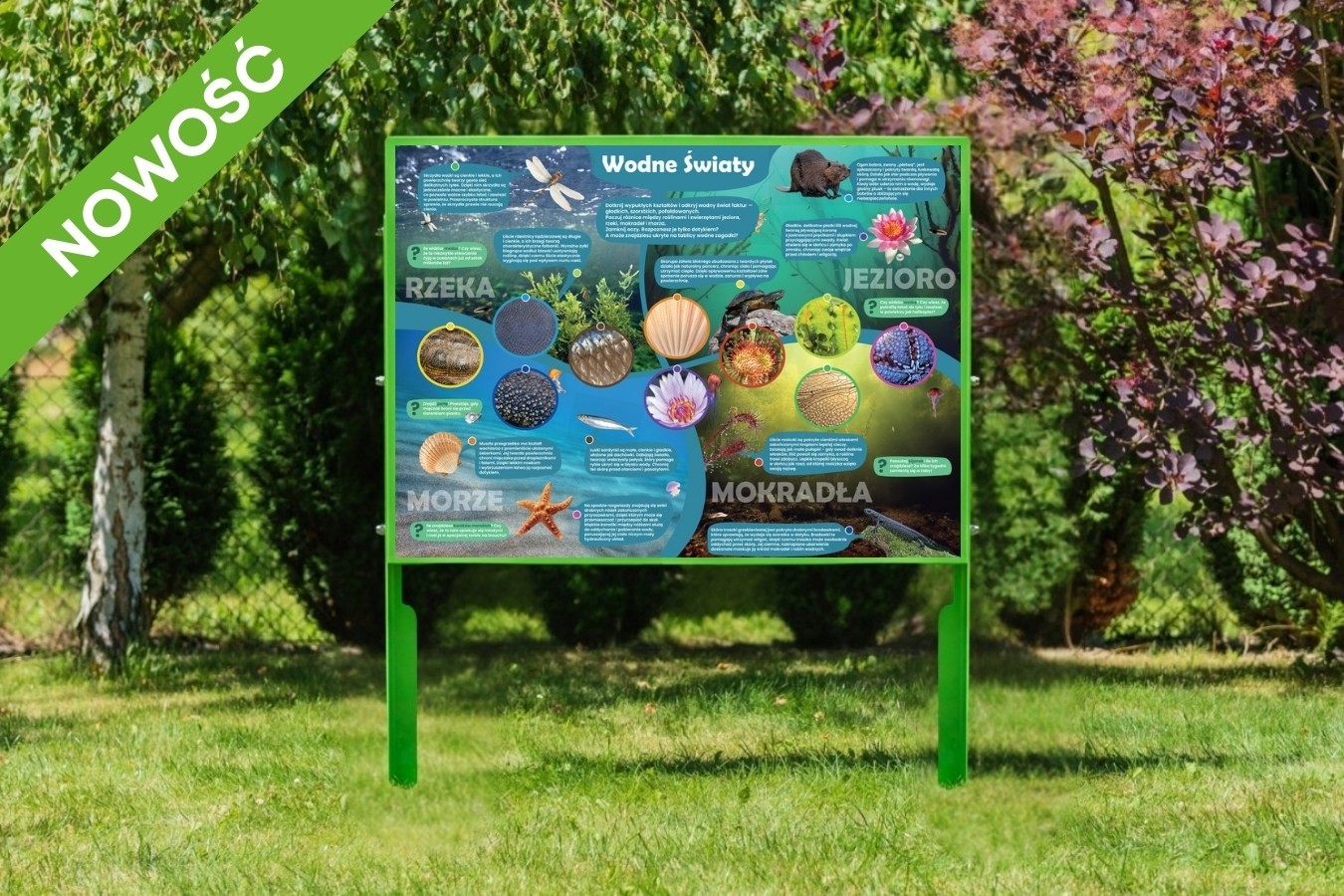 Tablica dotykowa Hapti – Wodne Światy z platformą edukacyjną QR+