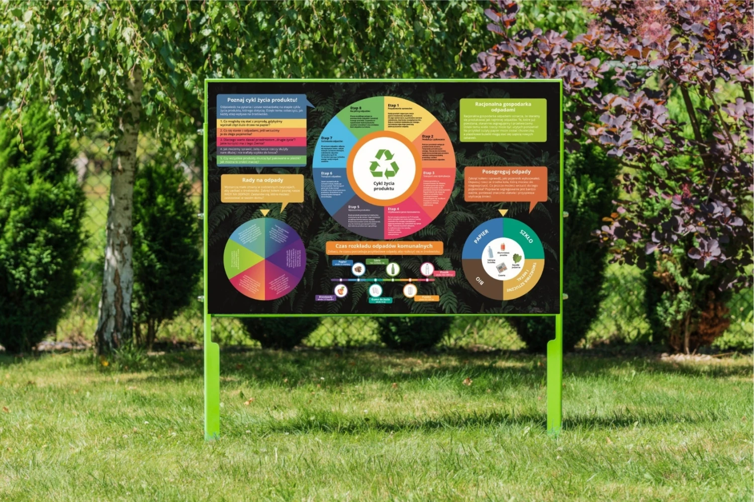 Tablica edukcyjna Cykl Życia z platformą edukacyjną QR+