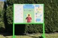 tablica-edukacyjna-jednostronna-carlo-acutis-z-platforma-edukacyjna-qr-produkt-01 (1).jpg